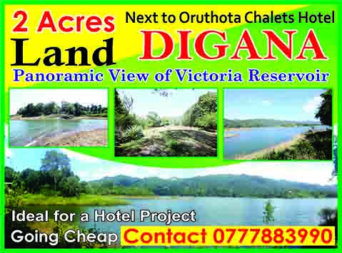 land-sale-kandy-digana-oruthota-chalets